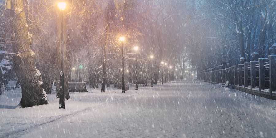 Завтра в Києві потеплішає і піде сніг