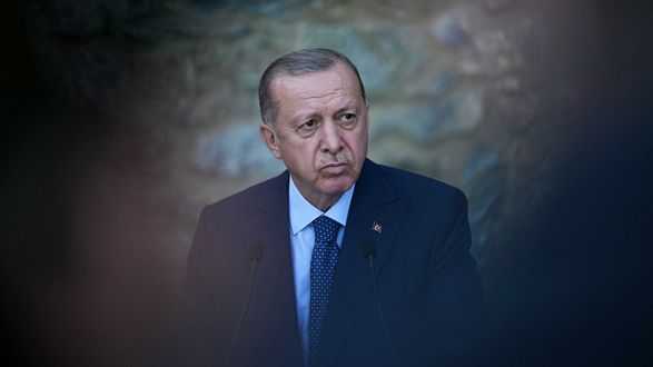 Ердоган повідомив про поновлення роботи "зернового коридору"