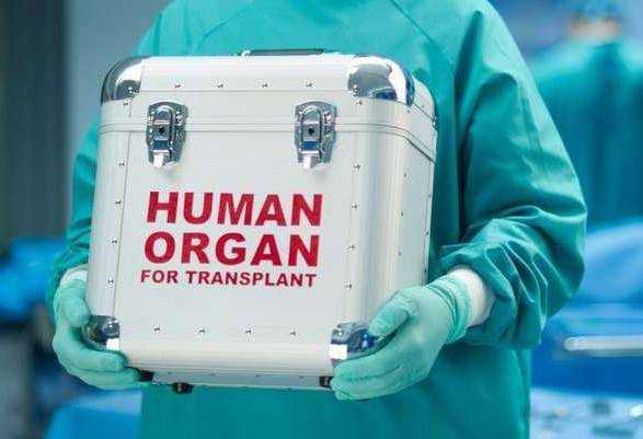 В Україні провели понад 150 трансплантацій ниркиВ Україні провели понад 150 трансплантацій нирки