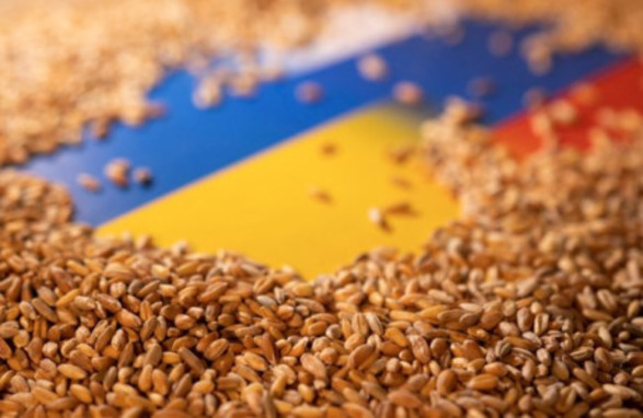 "Зерновая сделка" не предусматривает удовлетворения никаких потребностей россии - посол