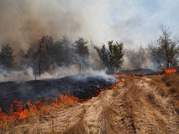 В Украине сохраняется пожарная опасность