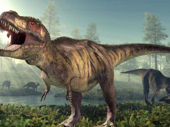 Чому у тиранозаврів були крихітні лапи