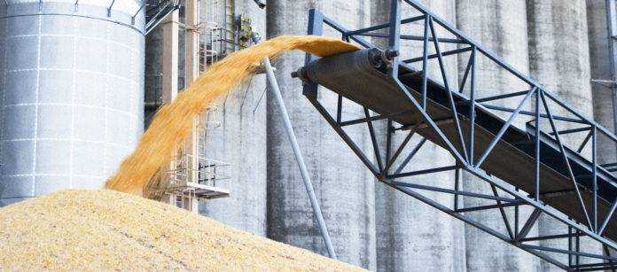 Деокупація Херсону відкриває можливість експорту зерна з портів Миколаєва