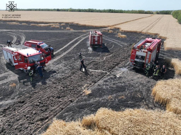 В Одесской области огнем уничтожено 10 га поля с пшеницей