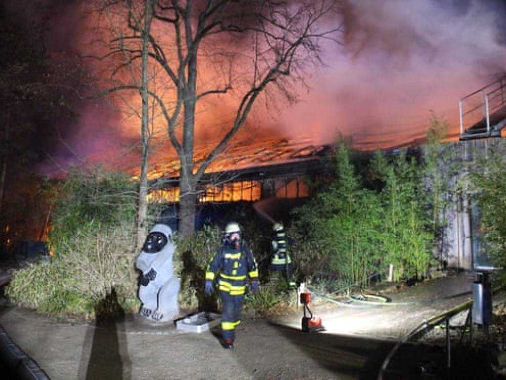 В Германии из-за пожара в зоопарке сгорели 30 животных