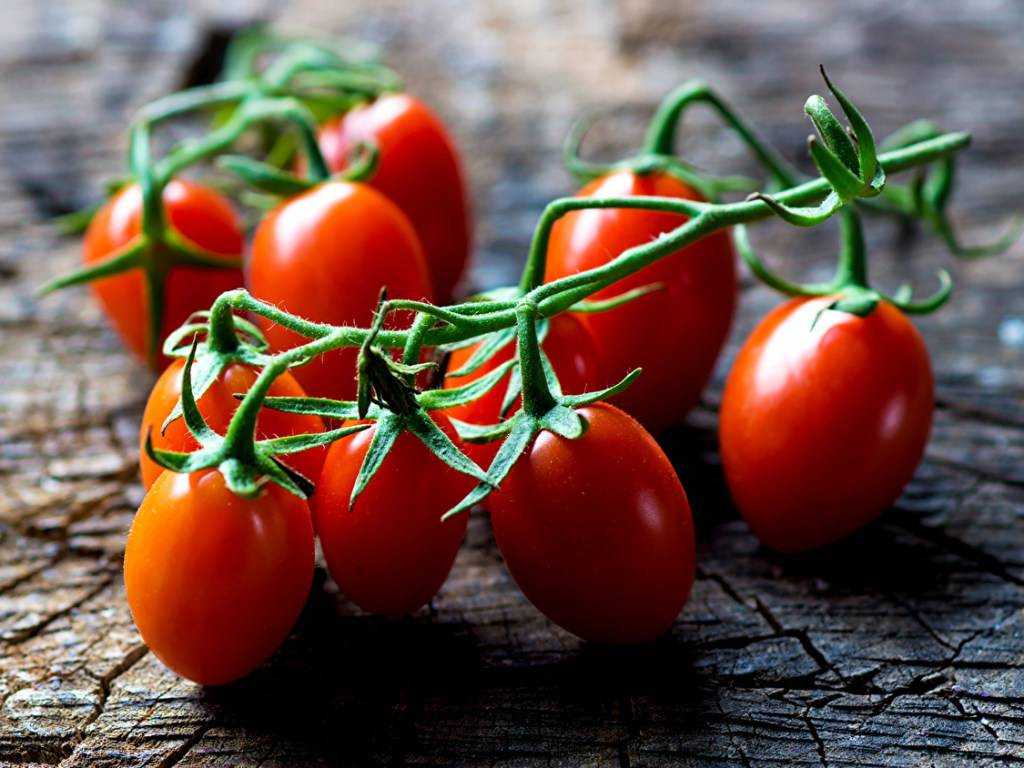 Ученые установили бесценные качества простых помидоров