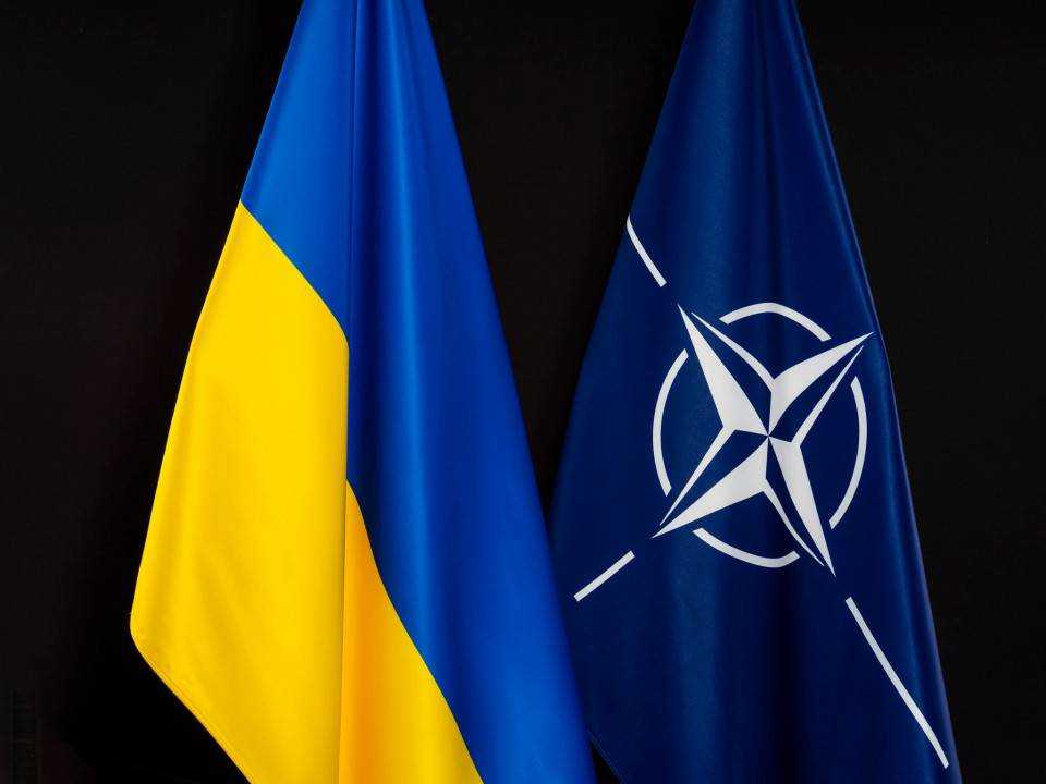 В Німеччині відреагували на заявку України про швидкий вступ до НАТО